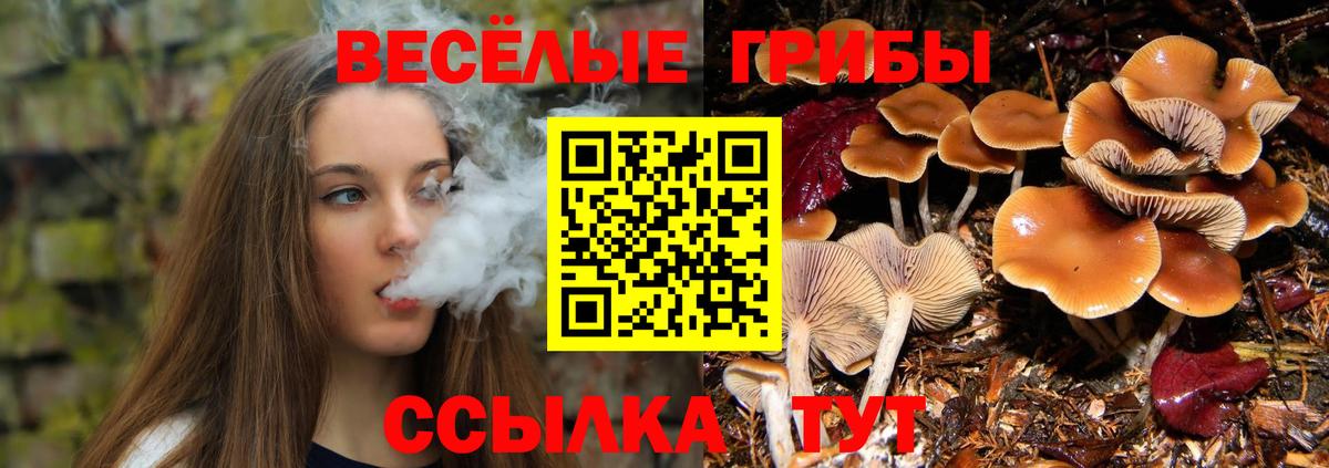 Галлюциногенные грибы прущие грибы  Вход с VPN  Дзержинск 